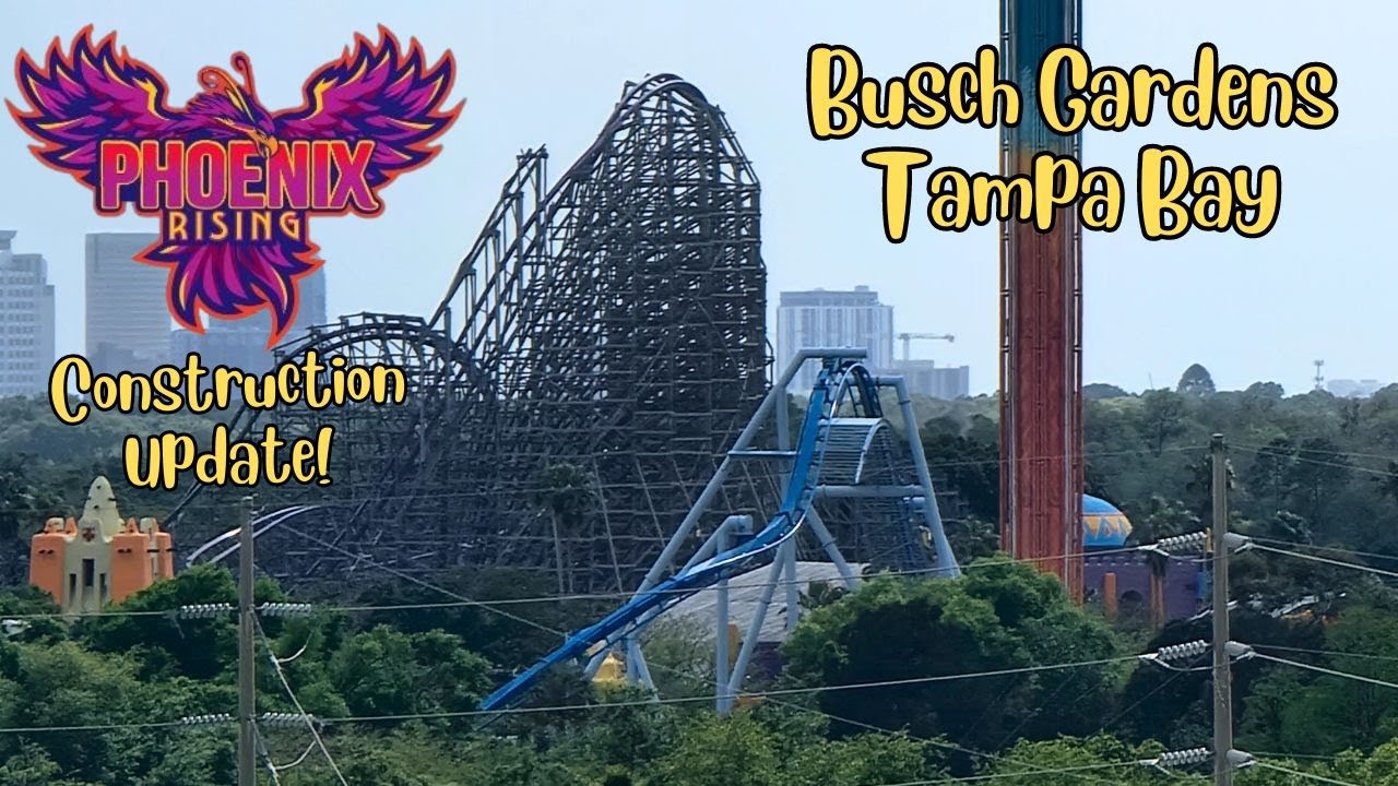 Busch Gardens Tampa Bay Phoenix Rising Roller Coaster Construction 3.25.24